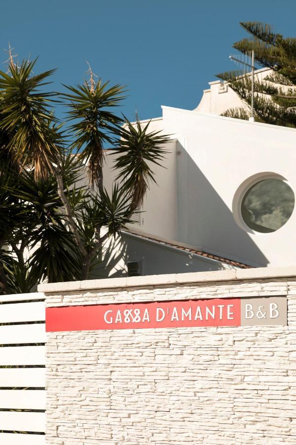 B&B Gassa D'Amante Vieste Ngoại thất bức ảnh