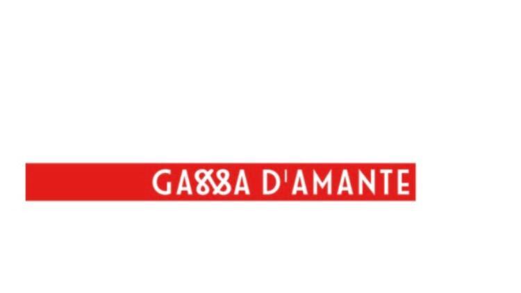 B&B Gassa D'Amante Vieste Ngoại thất bức ảnh